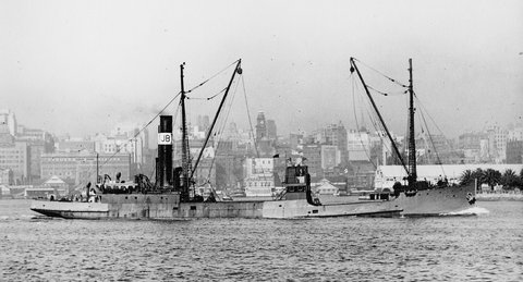 Abersea (ex-South Bulli) in Sydney Harbour, 1935 (Graeme Andrews, City of Sydney Archives)