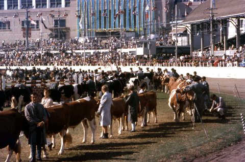 70-641 Grand Parade Royal Easter Show, Sydney 1970