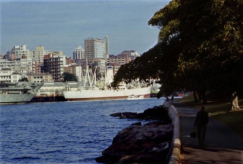 70-754 Woolomoloo Harbour, Sydney 1970