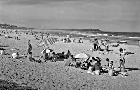 69-12 535 Northern Beaches, Sydney, Australia 1969