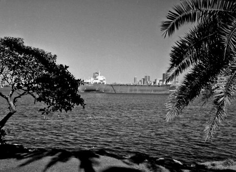 70-6 49 Cremorne Point ferry, Sydney, Australia 1970