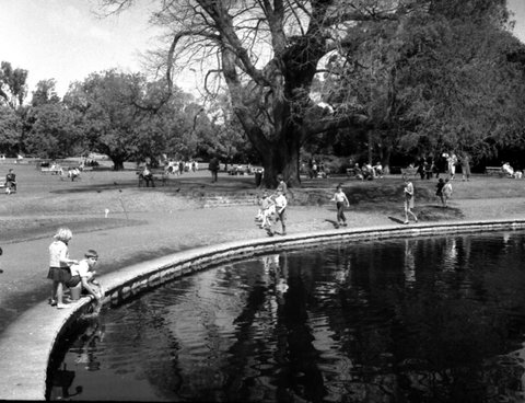 68-09 Botanical Gardens 2, Sydney 1968