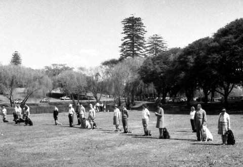 68-09 Centennial Park 7, Sydney 1968