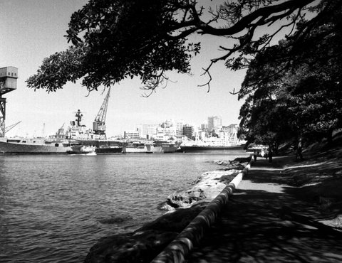 69-04 Botanical Gdns vicinity 05, Sydney 1969