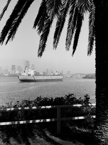 169 Sydney, Cremorne Point Aug 1976