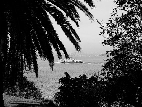 170 Sydney, Cremorne Point Aug 1976