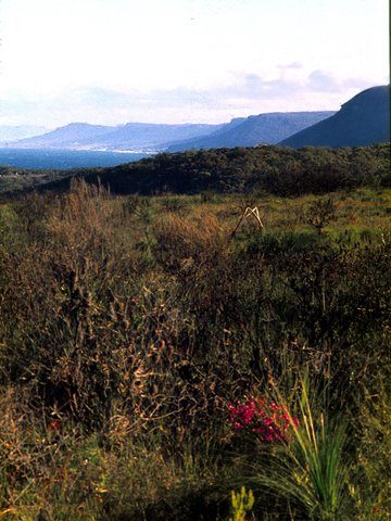 025 Royal Nat Pk, Aug 1978