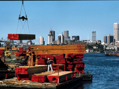 046 Blackwattle Bay, Oct 1978