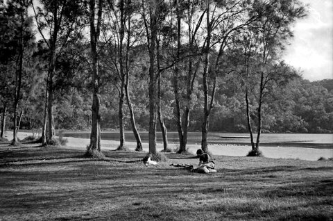 056 Audley, Royal National Park, Sydney, 1980
