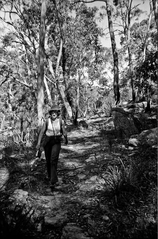 070 Audley, Royal National Park, Sydney, 1980