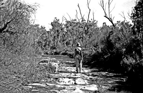 Camping in Heathcote SRA, Sydney, 1980