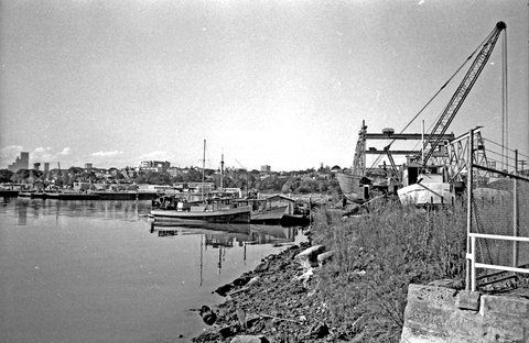 Blackwattle Bay, Sydney, 1980