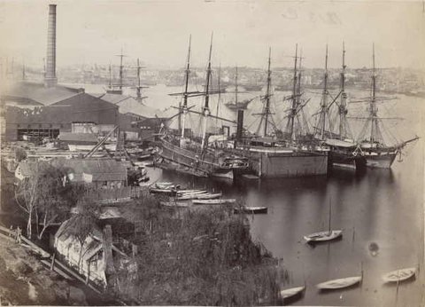 DarlingHarbour1877 NJCaire