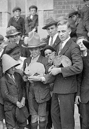Fort Street schoolboys being shown rabbit fur felt hat-making, 1927 - Sam Hood (3544662810 bearb Sp)