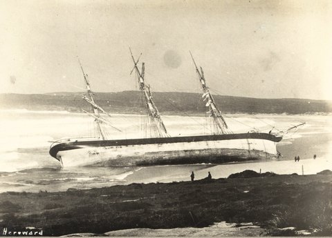 Hereward 1898