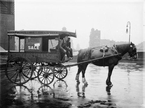Untitled, c. 1912