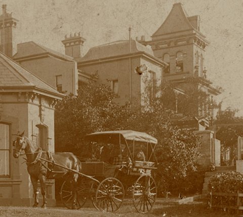 1 Venetia, 1899
