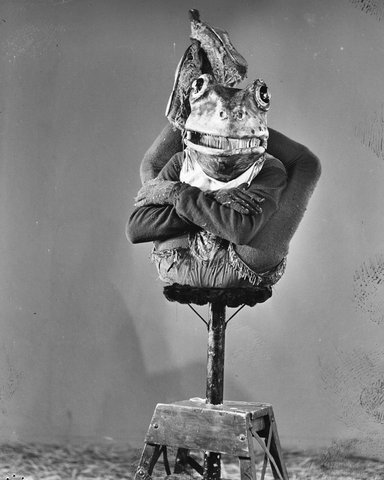 Mitchell Contortionist 1942