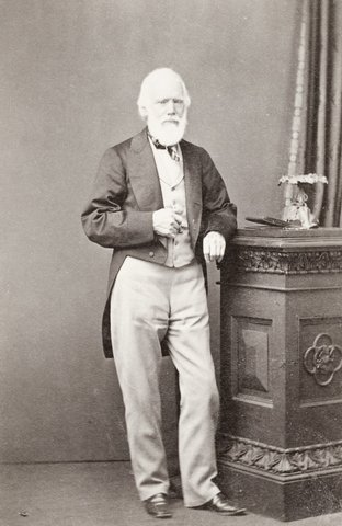 George Fife Angas, 1870
