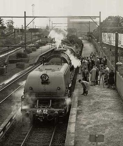 6002 trial Nth Strath, 1952