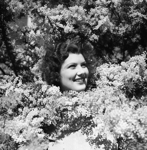 Wattle Day 1938