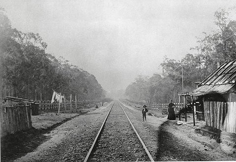 Railway Station - Toongabbie, c. 1880