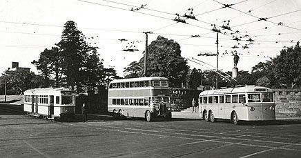 Sydney tram bus trolleybus - 19340122