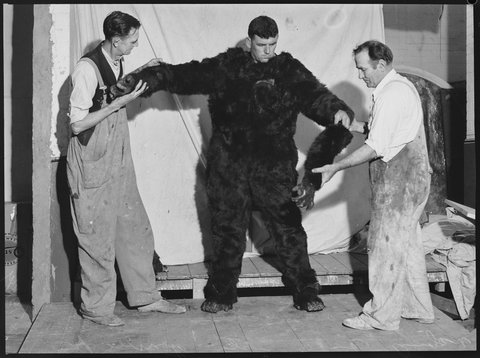 Fred Atkins slnsw V1-FL9615960, 1939
