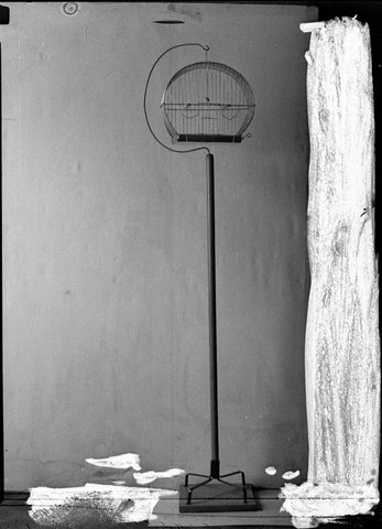 Bird's cage 1939
