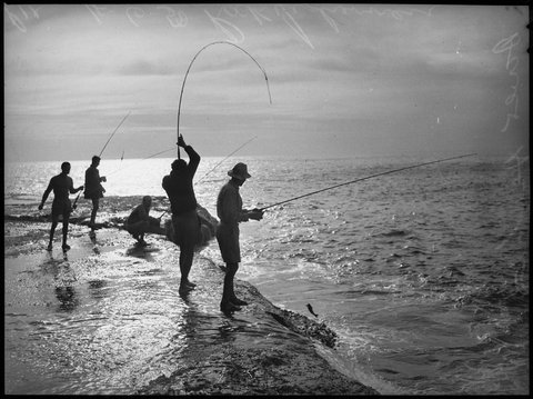 Rock fishermen at Dover Heights, 1950