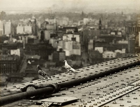 A Birds Eye View, Sydney Harbour Bridge, c. 1931