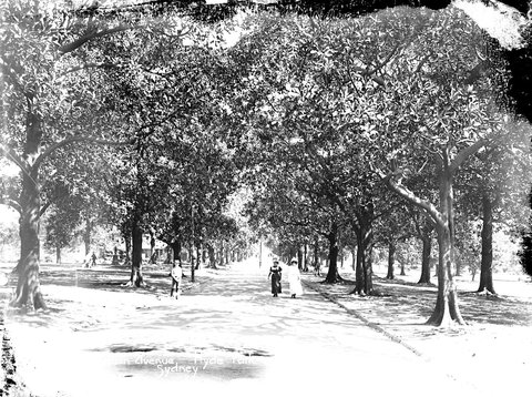 Hyde Park, Sydney (NSW), c. 1908