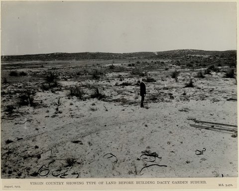 Virgin country showing type of land before building Dacey Garden suburb, 1915