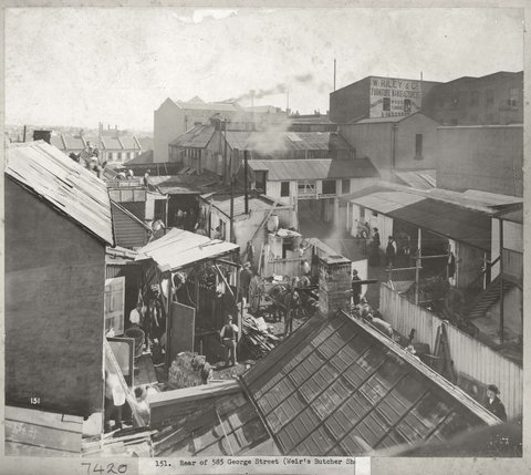 Rear of 585 George St showing Weirs Butcher Shop, Sydney (NSW), c. 1900