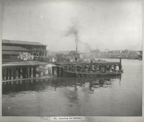 Cleansing the wharves, 1900
