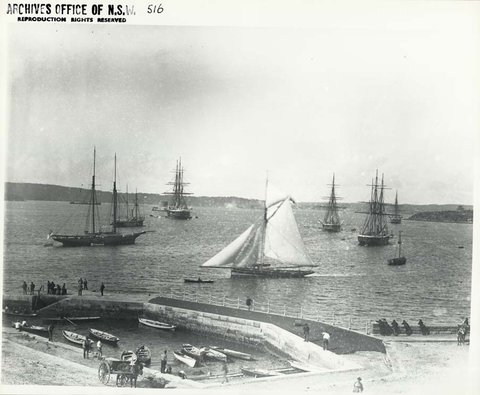 View from the western side of Farm Cove looking north-east toward Fort Denison, Sydney (NSW), 1882–88