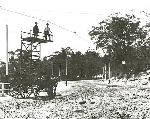 Tramways Tower Wagon mounted on horse drawn wagon - New South Head Rd, Double Bay, c. 1898