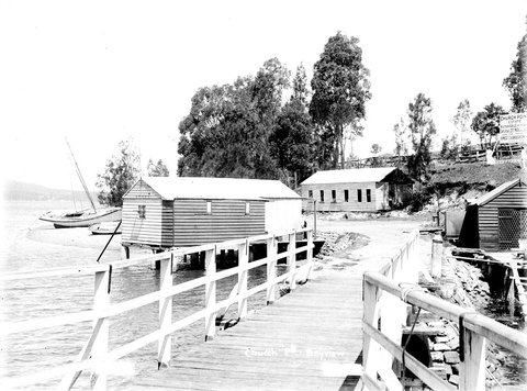 View towards Church Point c.1908, c. 1908