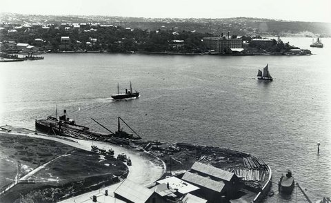 View from the southern side of Sydney Harbour, c. 1901