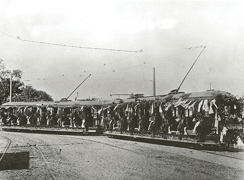 Opening of the Narrabeen Tramway, c.1913, c. 1913