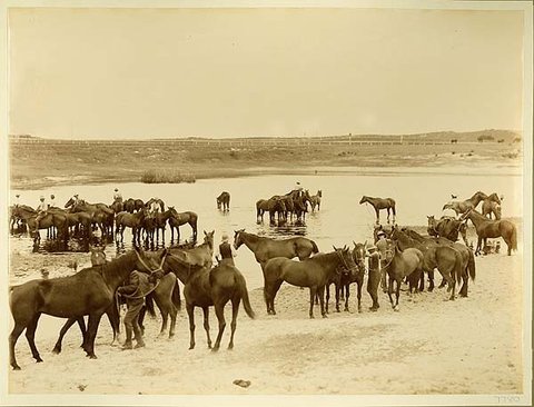 Bushmens camp - Kensington, c. 1900