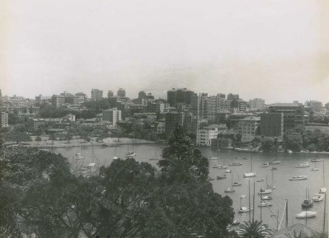 Rushcutters Bay, c. 1960