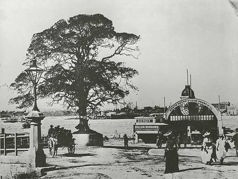 Milsons Point, c. 1895