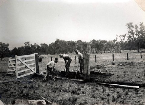 Oban Soldiers Settlement Estate, 1921