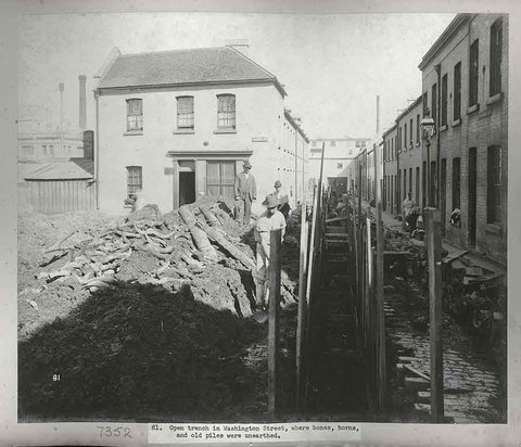 Washington Street, Sydney 1900, c. 1900