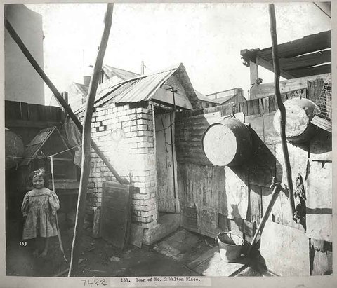 A Sydney backyard in 1900, c. 1900