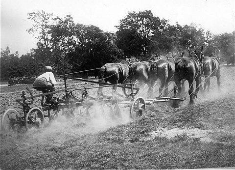Ploughing the fields, c. 1926
