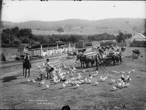 A farm homestead, 1900