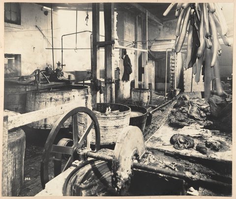 Sutton Forest Butchery. No. 761 George street 1900 Degotardi