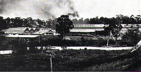 Meadowbank Manufacturing Company workshops 1922